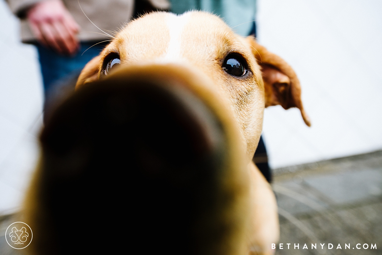 Providence Rhode Island Engagement Session