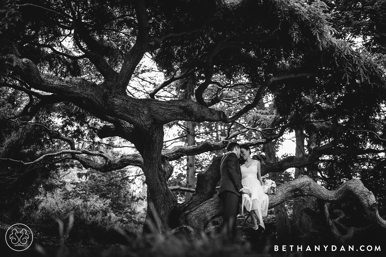 Boston Elopement