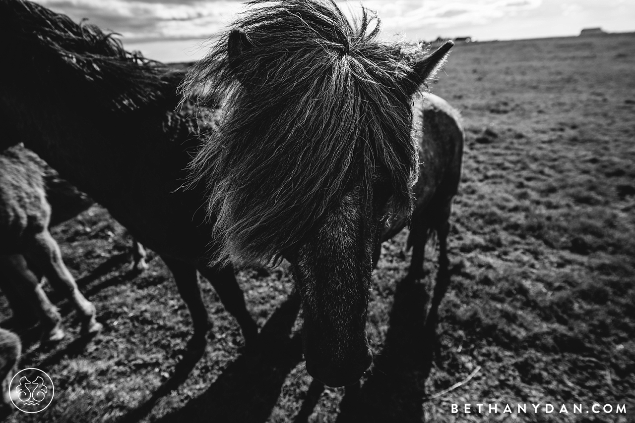 Iceland Photography