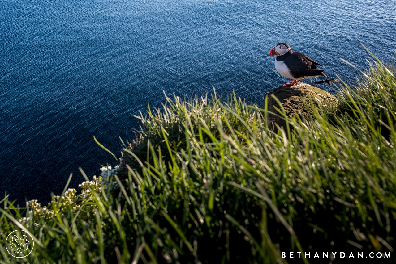 Iceland Photography