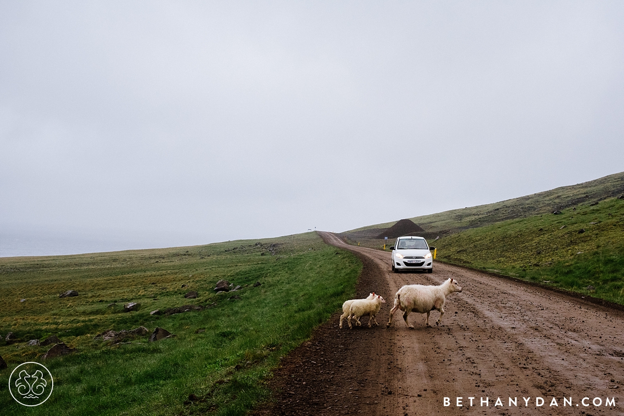 Iceland Photography