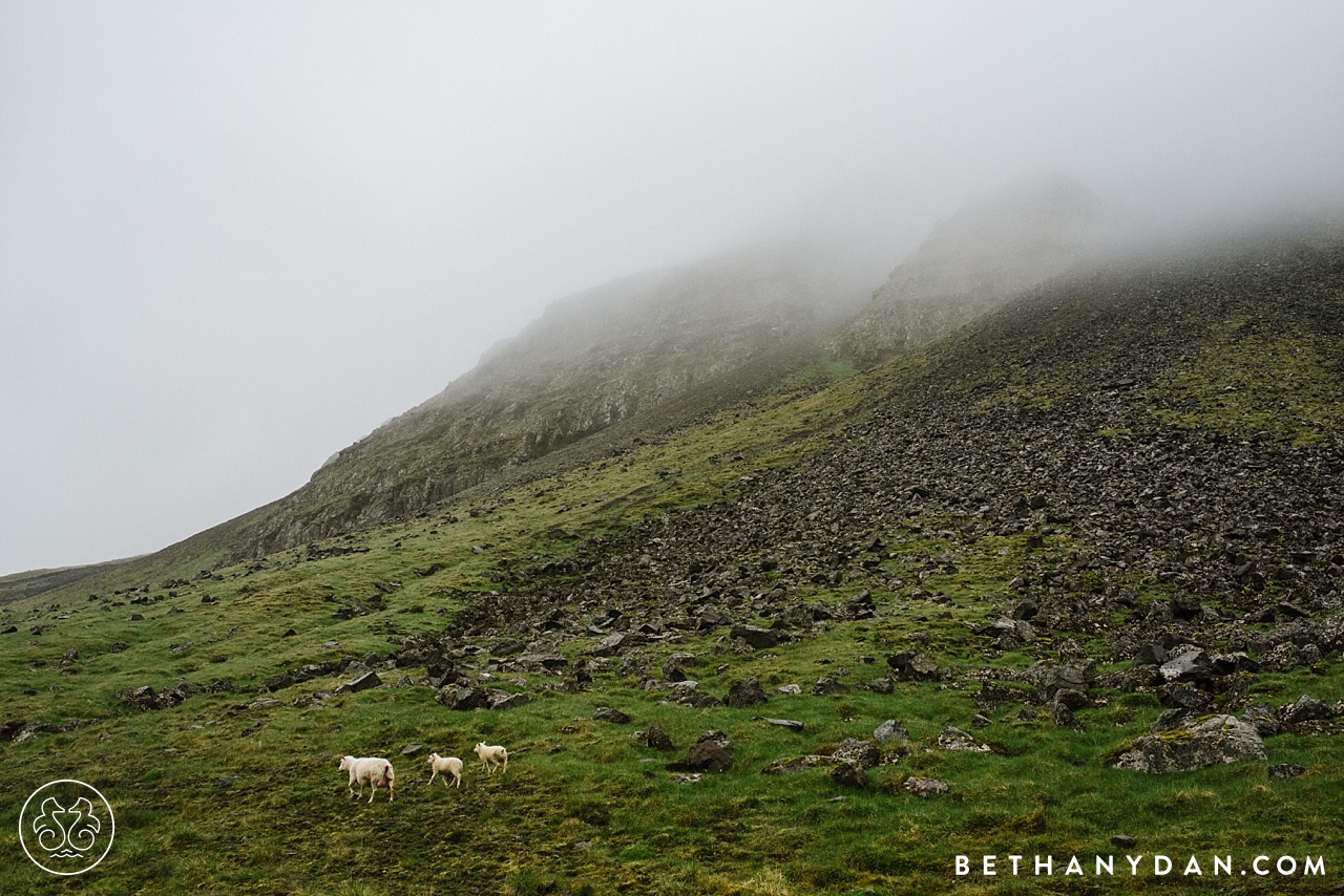 Iceland Photography