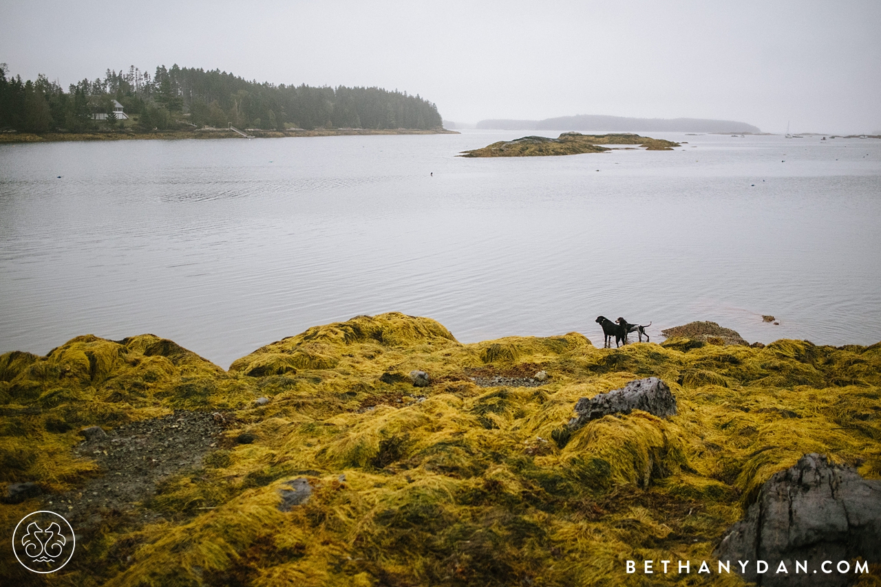 Intimate Oceanside Maine Wedding