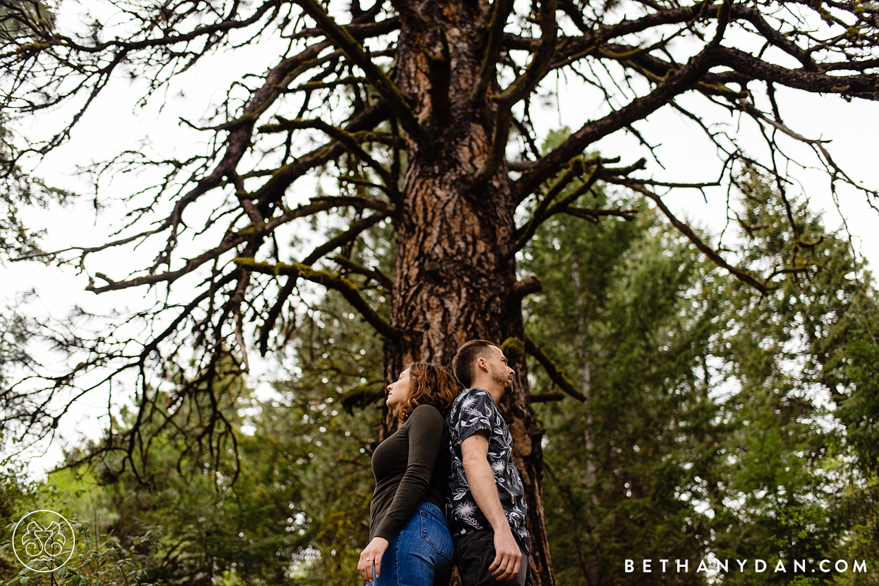 Idaho Engagement Session