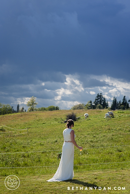 North Haven Island Wedding