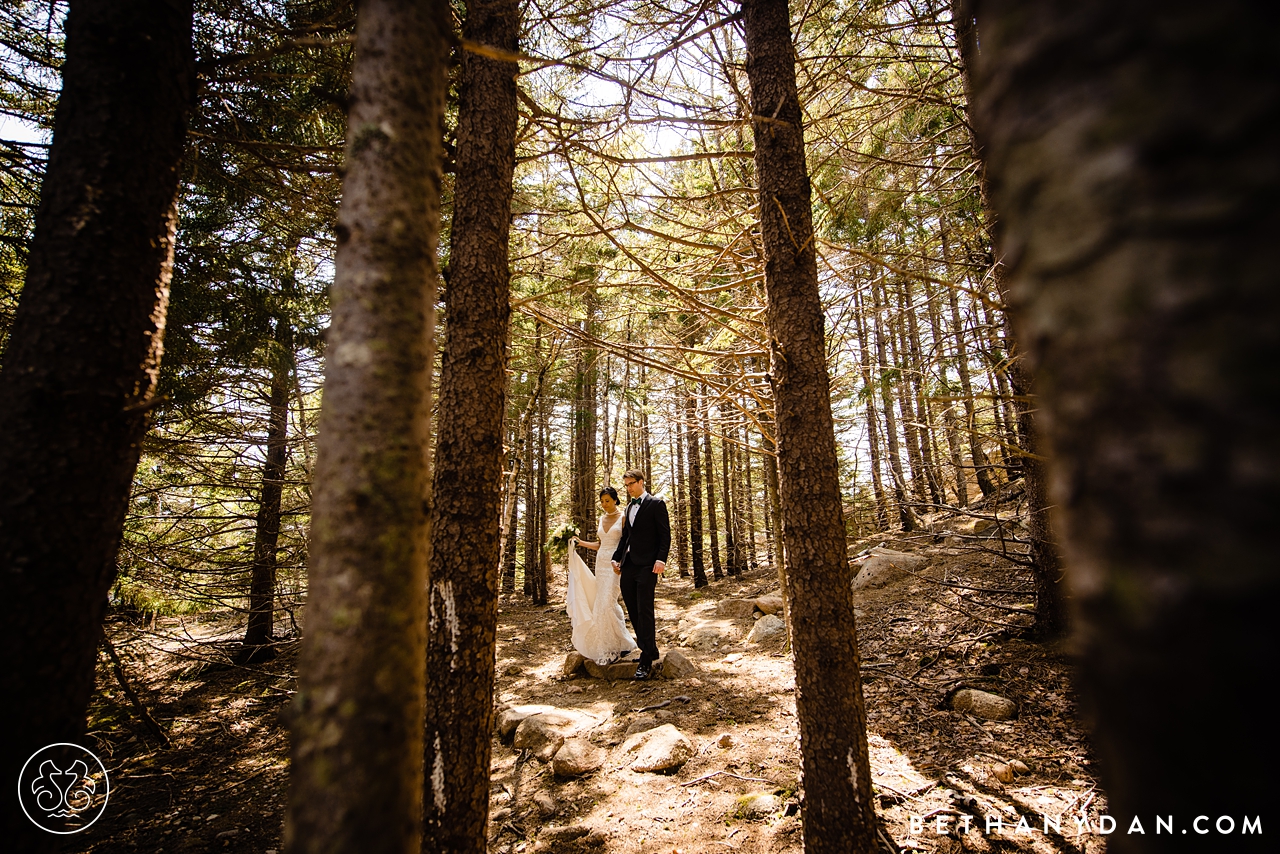 Bar Harbor Wedding