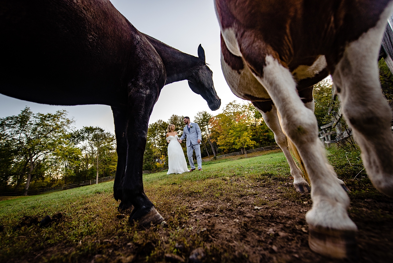 West Hartford CT Wedding Horse Farm