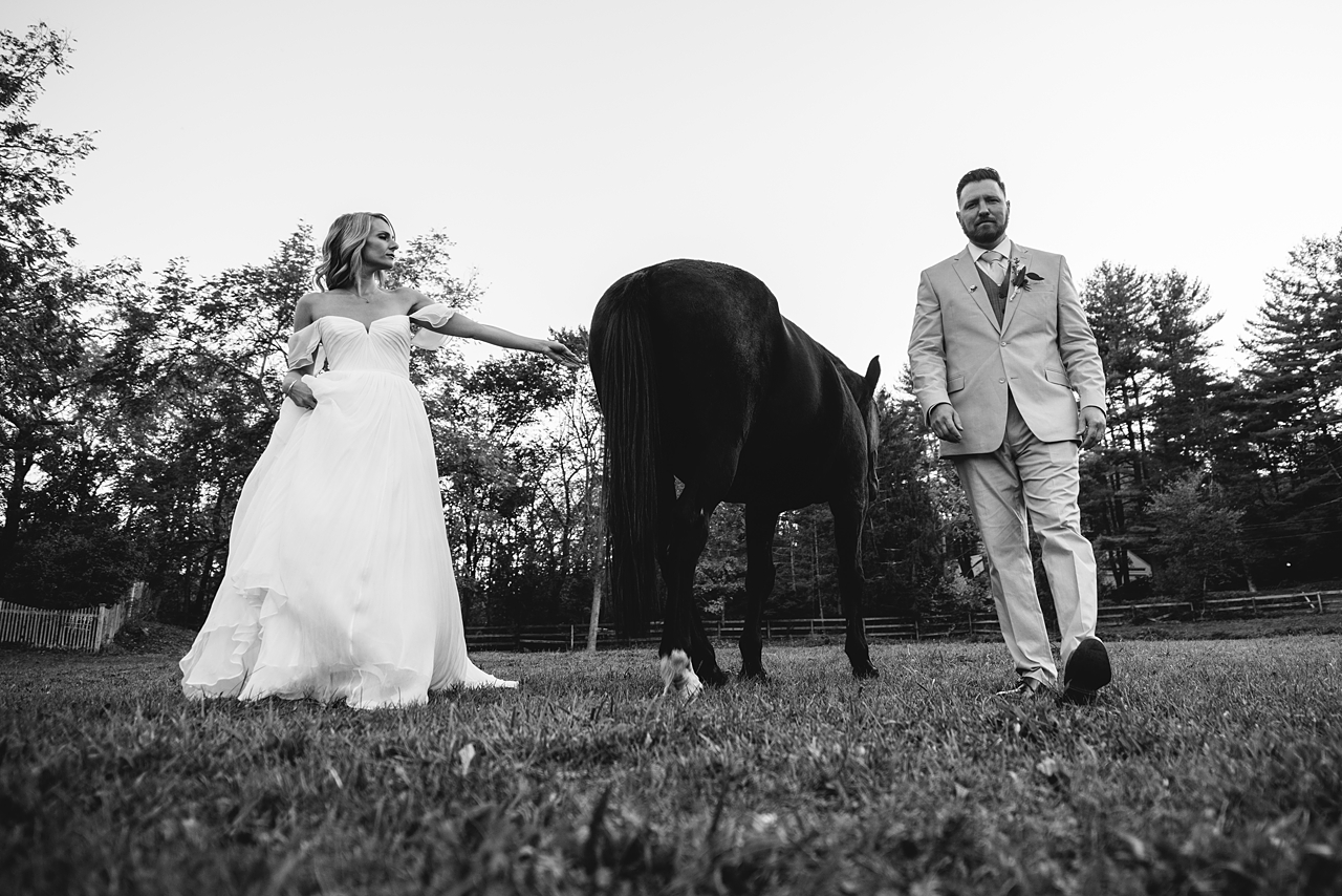 West Hartford CT Wedding Horse Farm