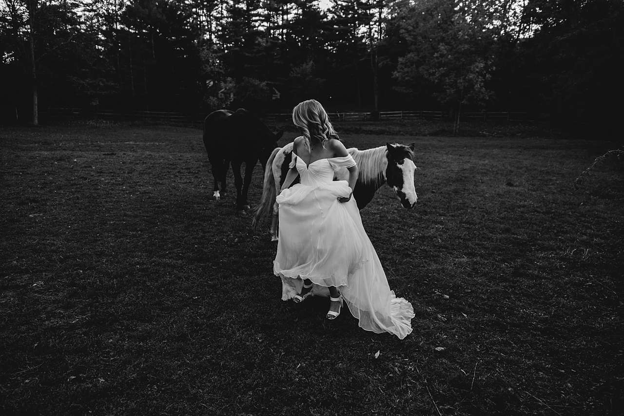 West Hartford CT Wedding Horse Farm