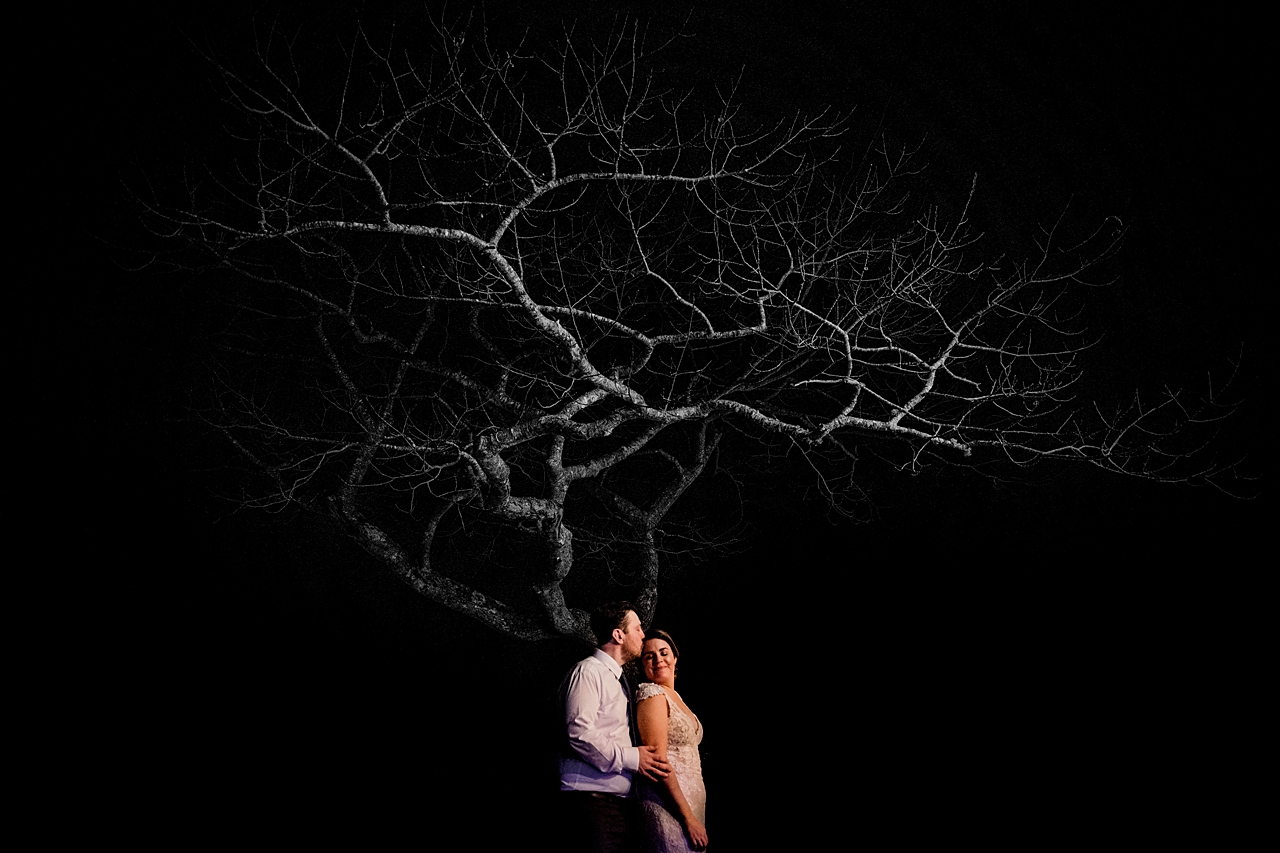 photo of bride and groom with a spooky tree illuminated behind them